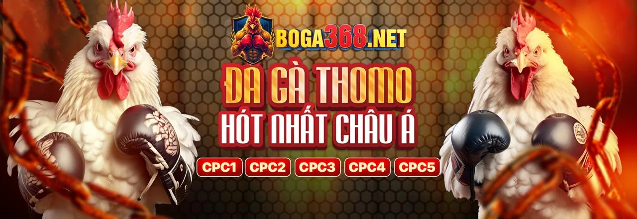 Tải ứng dụng 555win55 code ngay hôm nay để trải nghiệm cá cược đỉnh cao