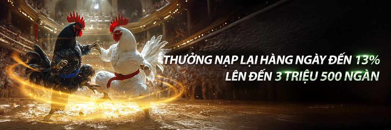 Sân vận động bóng đá với đèn pha sáng rực, tượng trưng cho cá cược thể thao sôi động tại 555win55 code