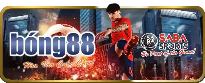 Cá cược thể thao đa dạng với tỷ lệ cược hấp dẫn tại 555win55 code